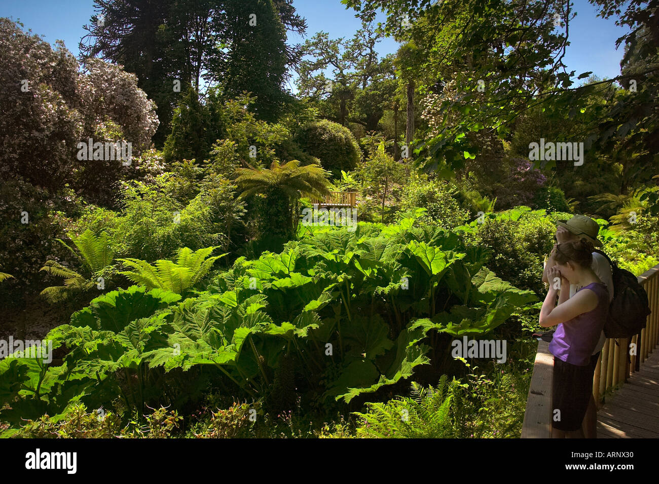 Stilvolle Lost Gardens Heligan Bilder