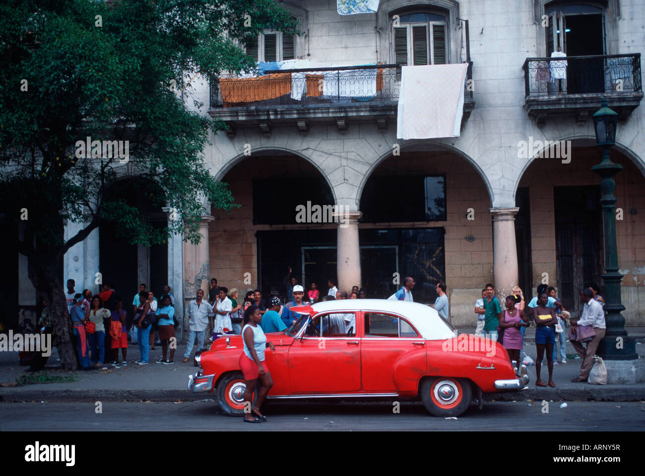 Kuba, Havanna, typische ältere 50er Jahre amerikanisches Auto Stockfoto