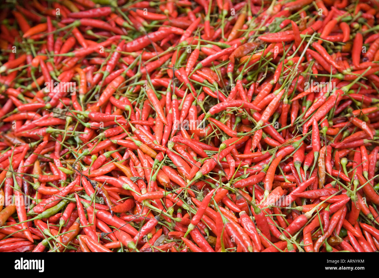 Rote Chilis auf der Pak Klong Talat Blumen- und Gemüsemarkt, Bangkok, Thailand Stockfoto
