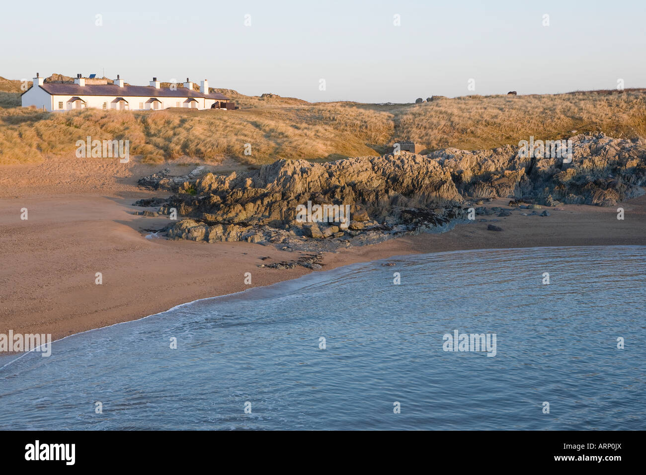 Piloten auf dem Land auf Llanddwyn Island, Anglesey, Wales Stockfoto