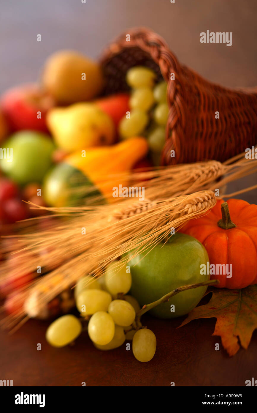 Herbst-Ernte Stockfoto