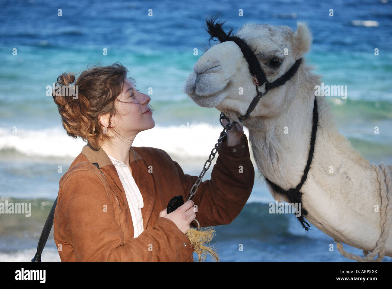 Junge Frau Reiten Kamel am Strand, Nuweiba, Sinai-Halbinsel, Ägypten Stockfoto