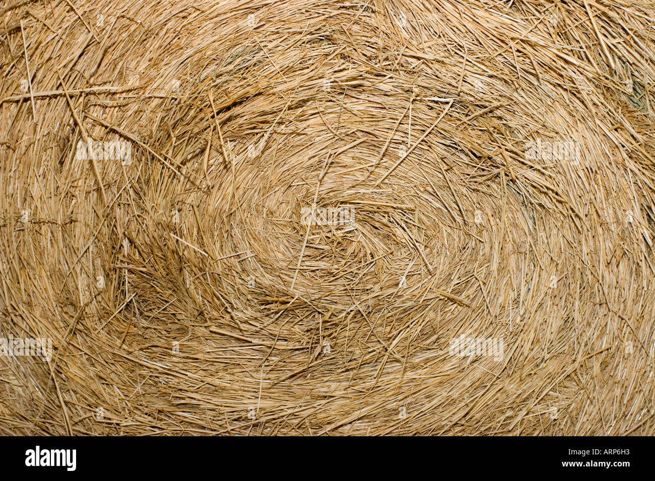 Hay runden Ballen Zentrum Stockfoto