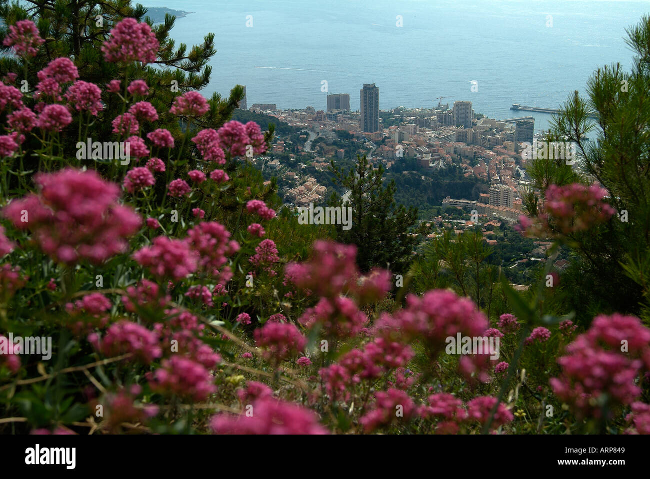 Blick auf Monaco von La Turbie Stockfoto