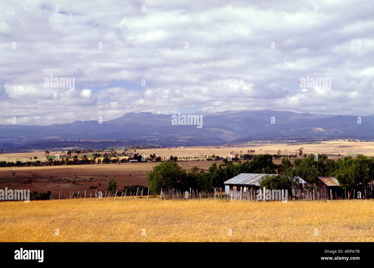 Bauernhof im zentralen Hochland Kenia in Ostafrika Stockfoto