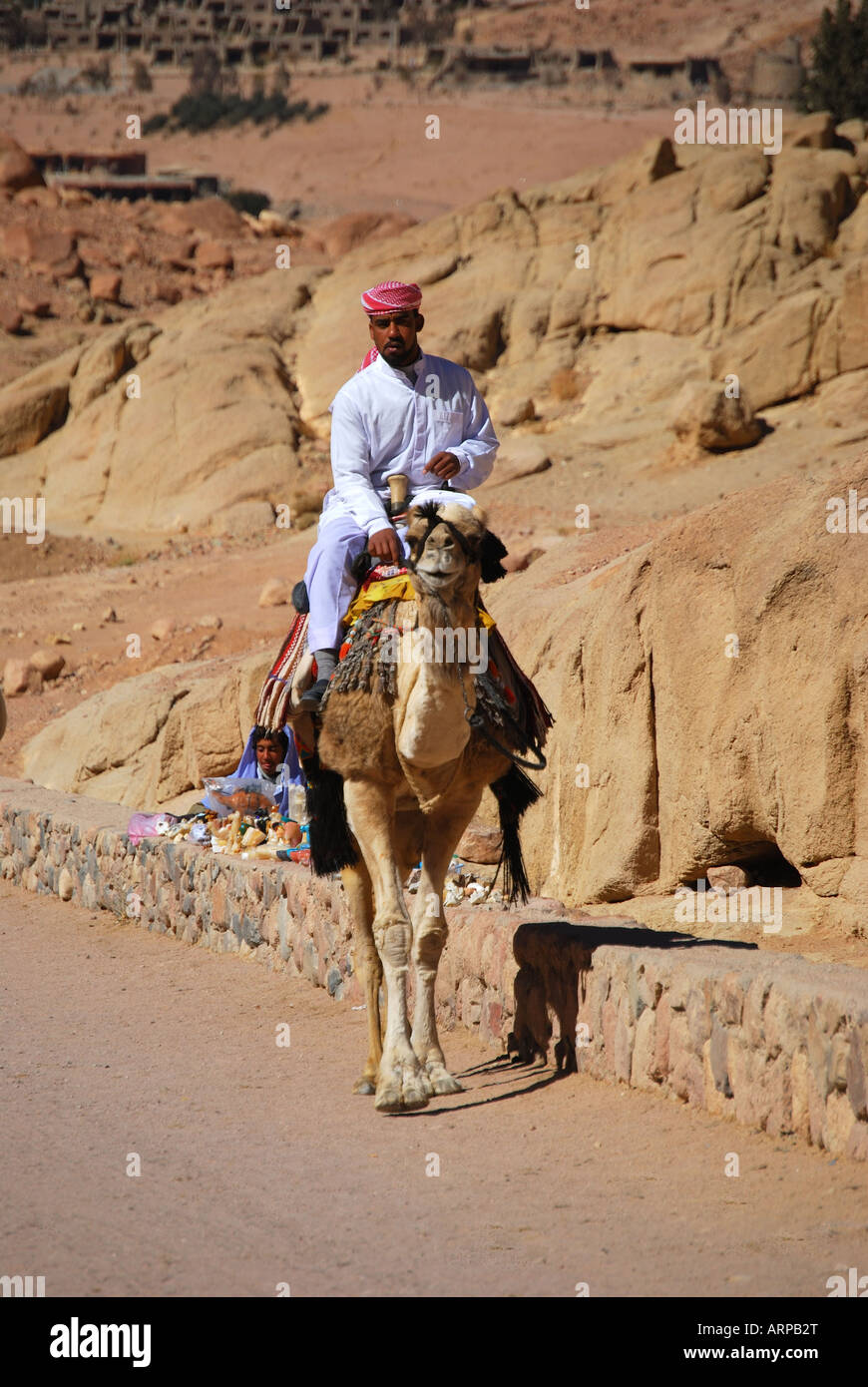 Lokale arabische Mann Reiten Kamel, Handwerksarbeiten Kloster, Sinai-Halbinsel, Ägypten Stockfoto