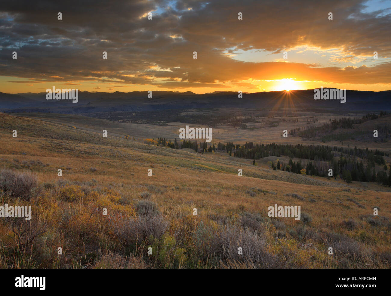 Sunrise, Mount Washburn, Yellowstone-Nationalpark, Wyoming, USA Stockfoto