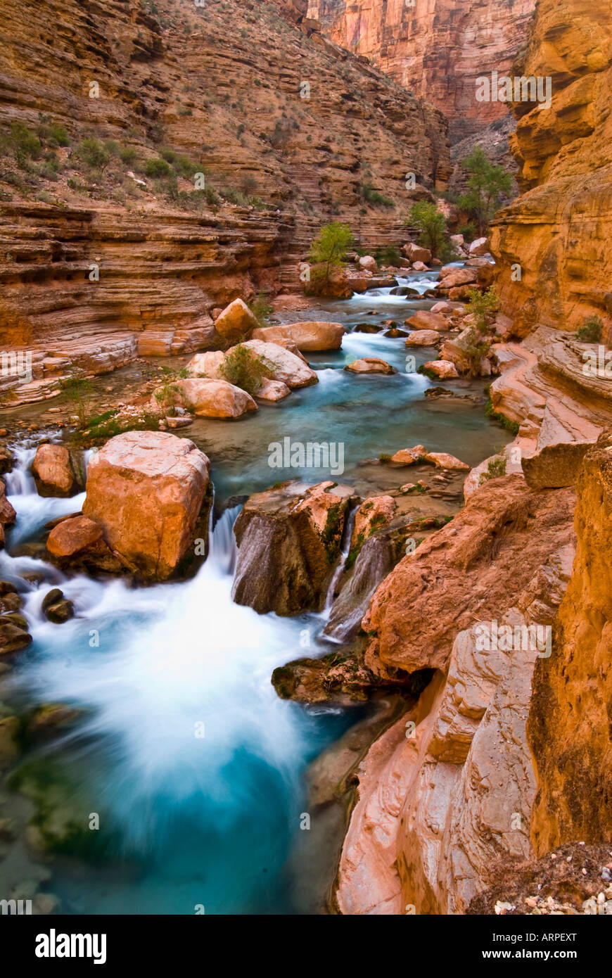 Havasu Creek Canyon auf dem Colorado River im Grand Canyon National Park-Arizona Stockfoto