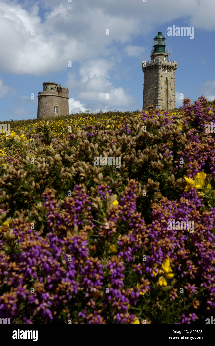 Frankreich Bretagne Cap Frehel alten und neuen Leuchttürme hinter blumigen Moor Stockfoto