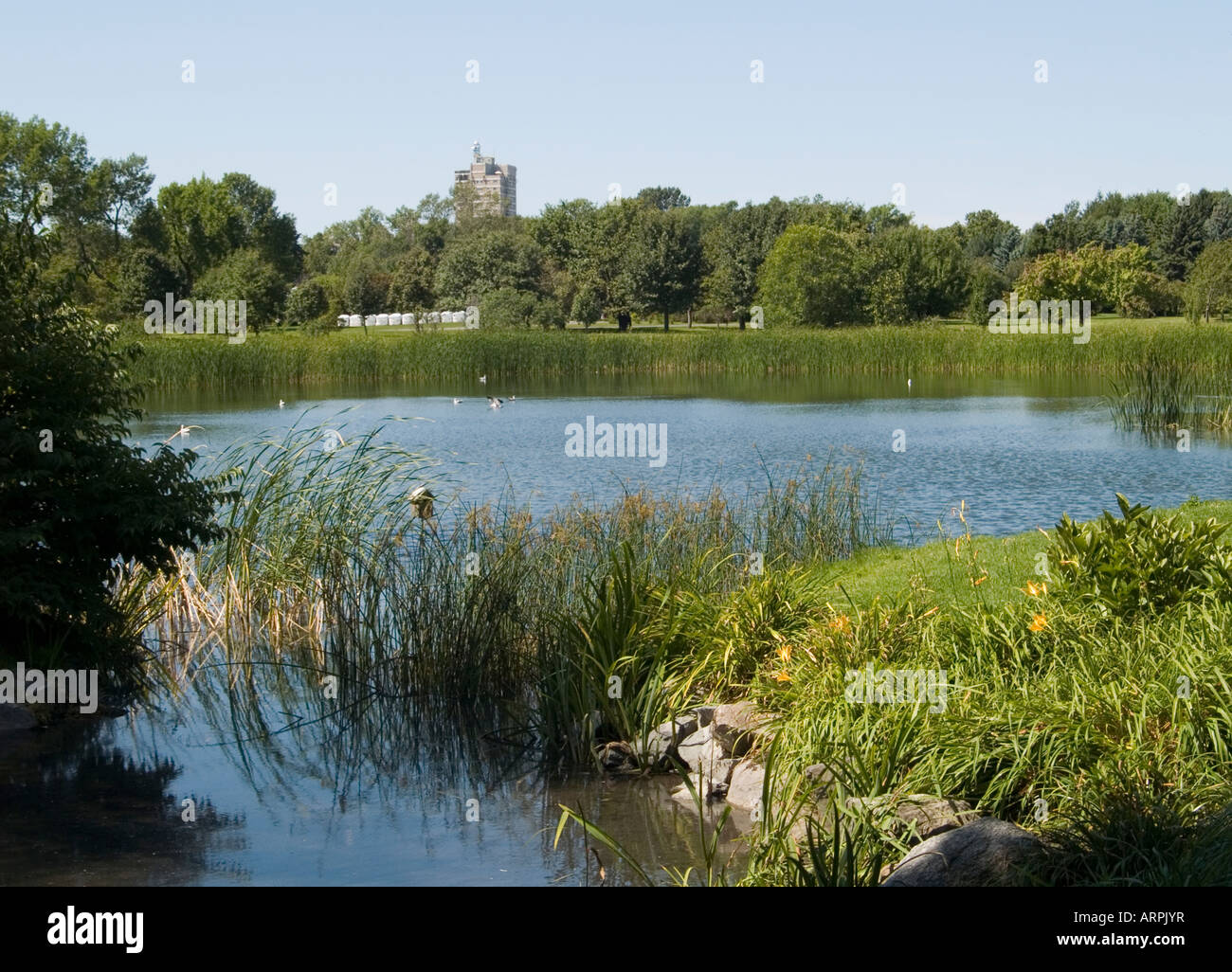 Einen Teich an der Jardin Botanique de Montréal, Quebec Kanada Stockfoto