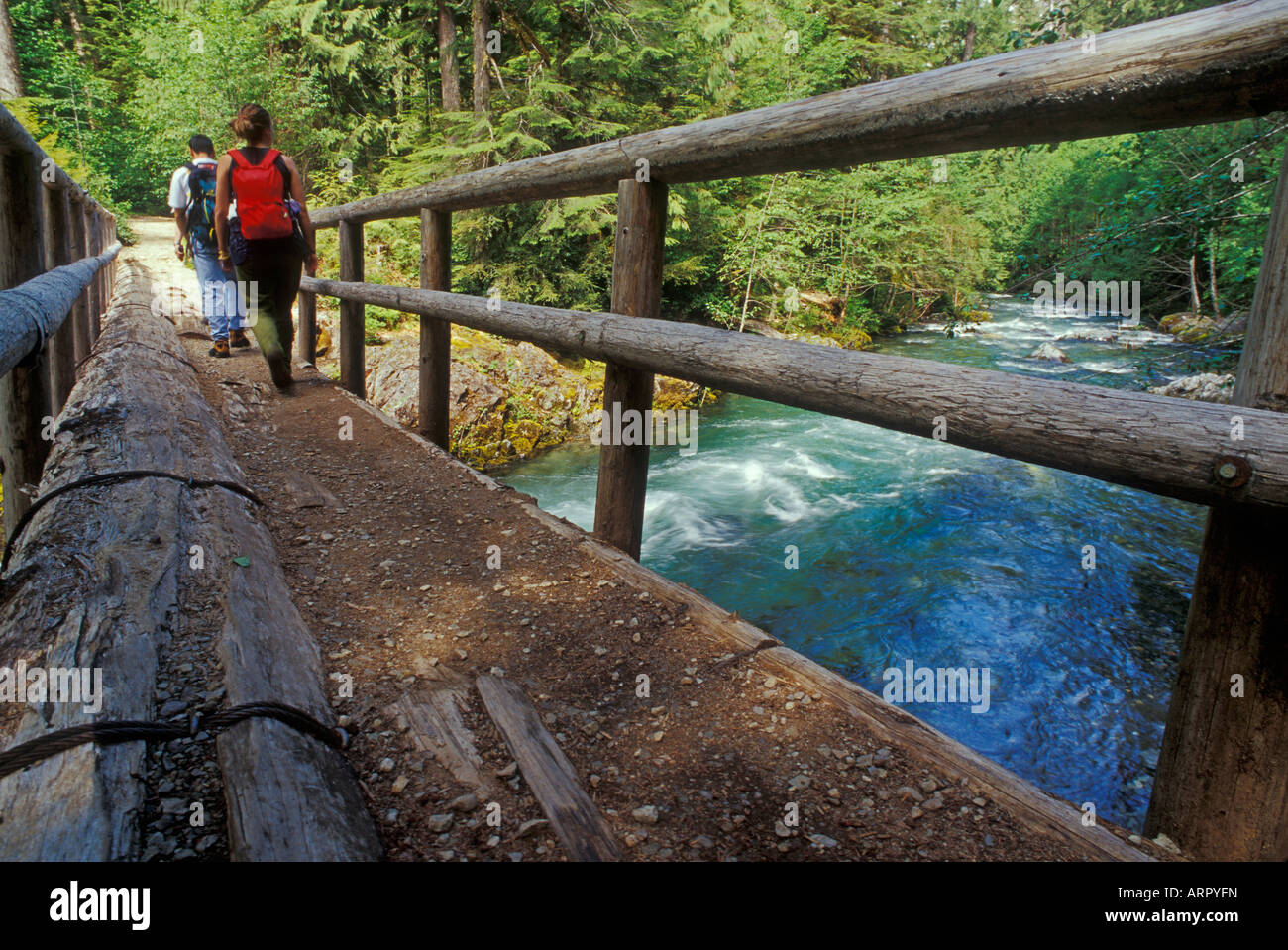 Wanderer auf Trail Brücke über kleine Norden Santiam Fluß Opal Creek Wilderness Cascade Mountains Oregon Stockfoto