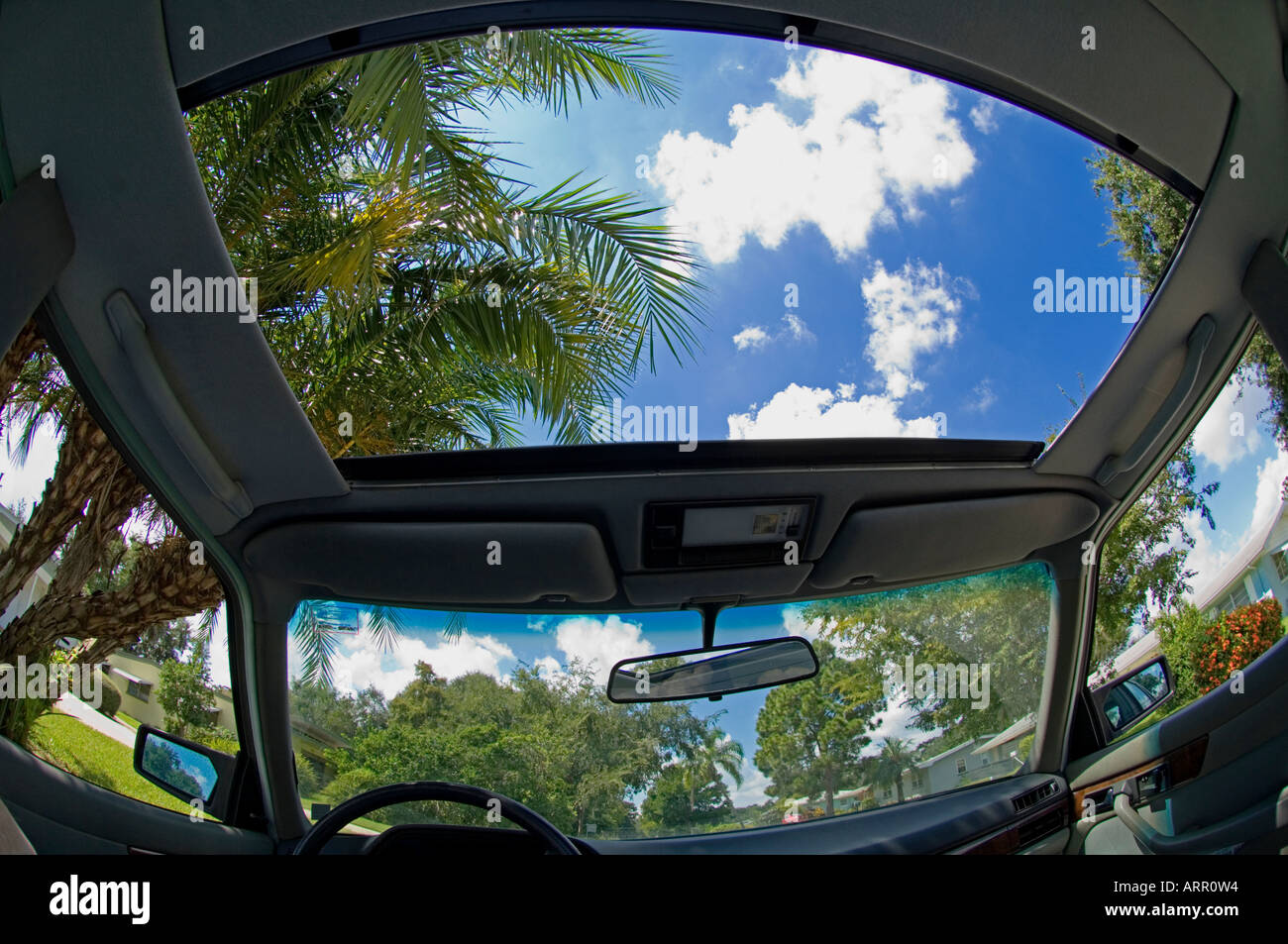 Blick auf Himmel und tropischen Laub von Cabrio-Schiebedach Stockfoto
