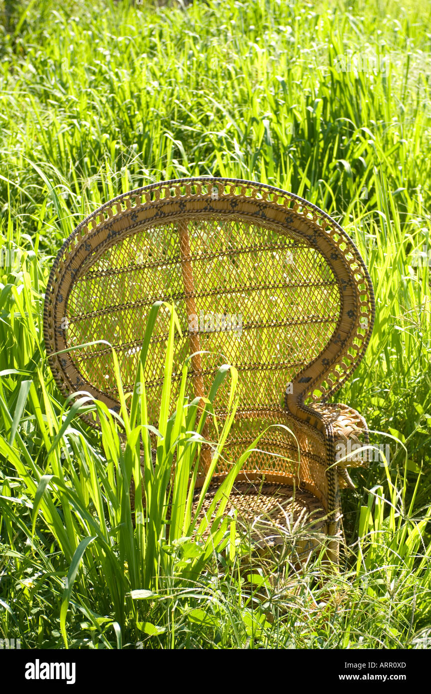 Rattan tropischen Pfau Stuhl grünen Rasen Stockfoto