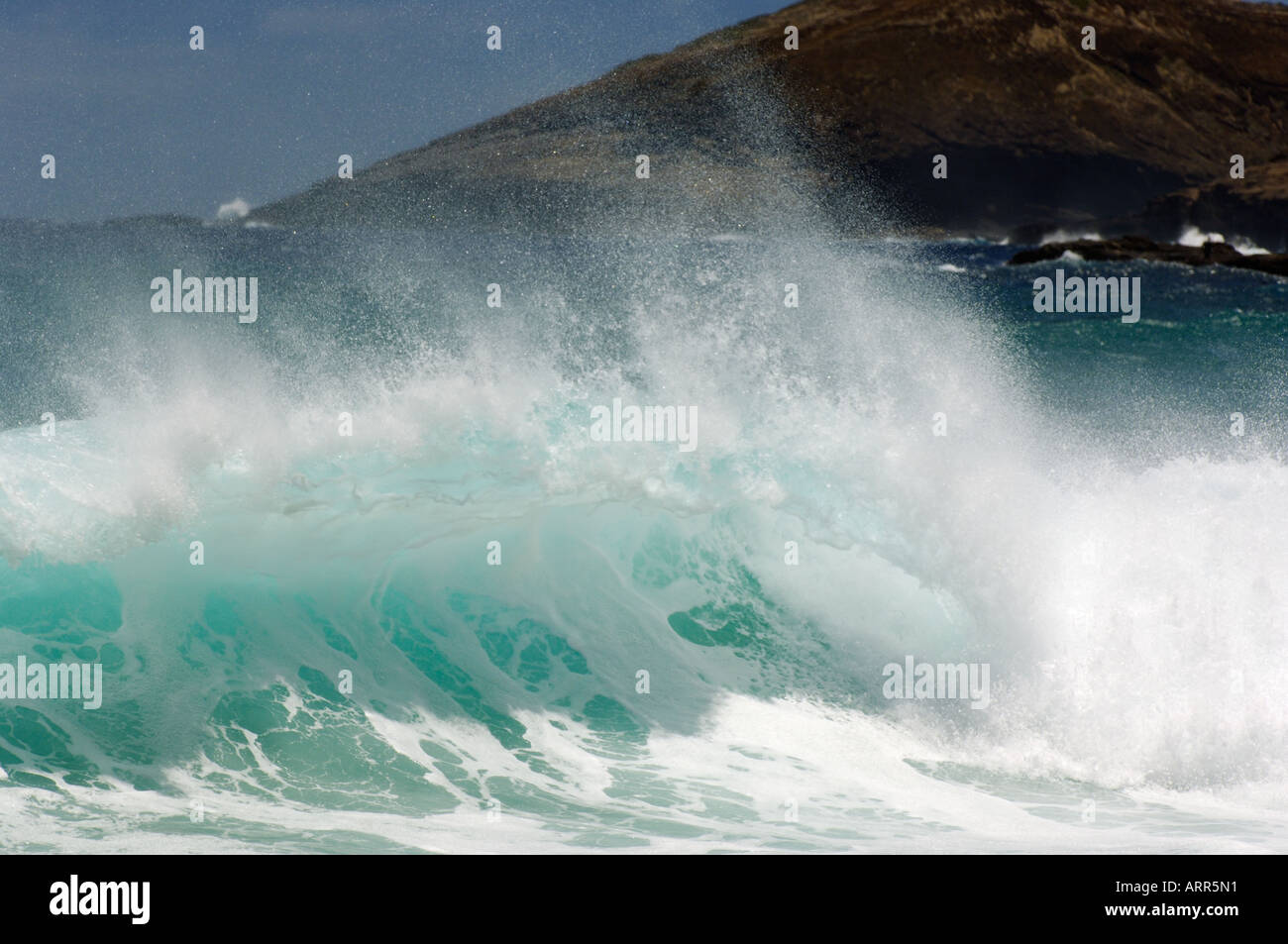 Brechende Welle vor der Küste von Oahu Ost Stockfoto