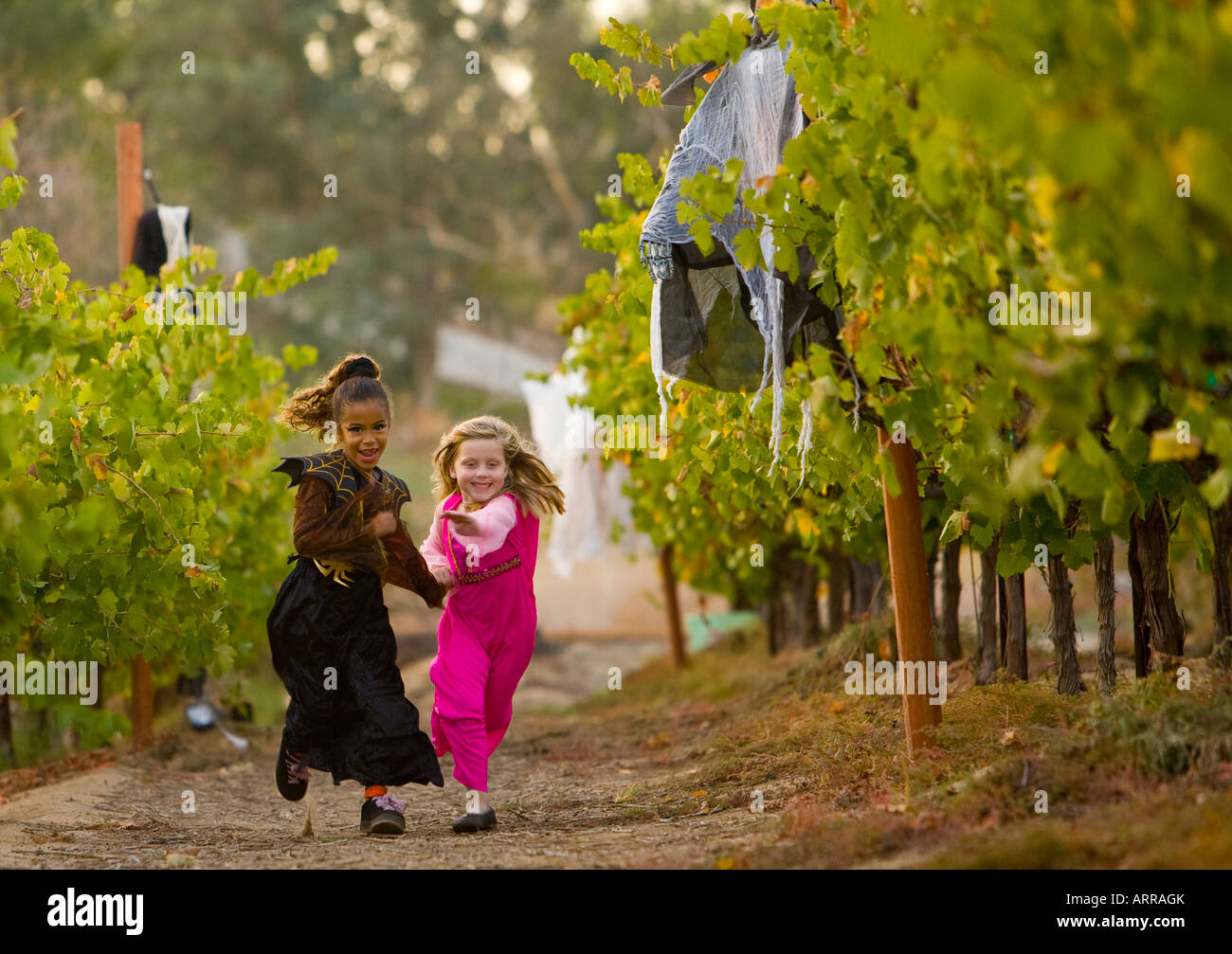 zwei junge Mädchen im Kostüm durch die Wein Weinberge der Longshadow Ranch und Weingut in Temecula, Kalifornien laufen Stockfoto