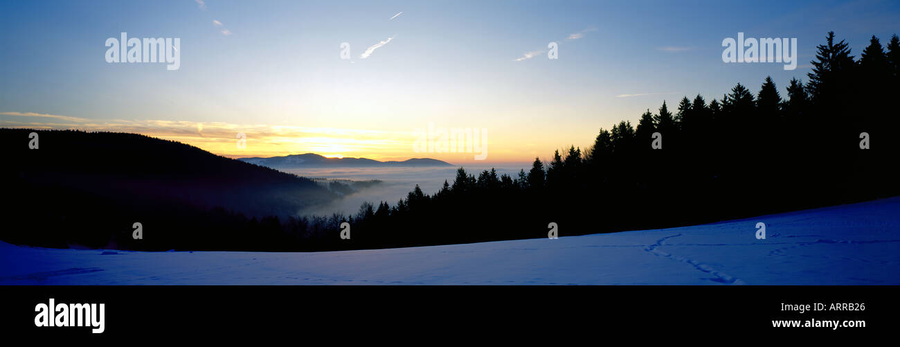 Bayerischer Wald im Winter vor Sonnenaufgang Rusel Bayern Deutschland. Foto: Willy Matheisl Stockfoto