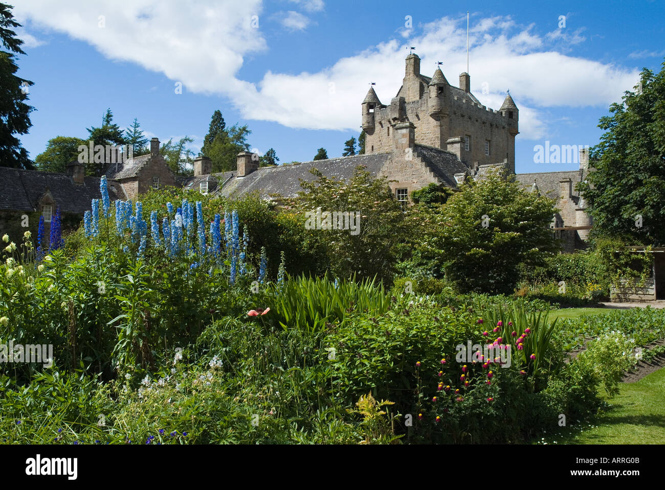 Dh Cawdor Castle CAWDOR INVERNESSSHIRE Gärten blaue Lupinen Ferienhaus Schottland Highlands Geschichte schottischen Garten Stockfoto