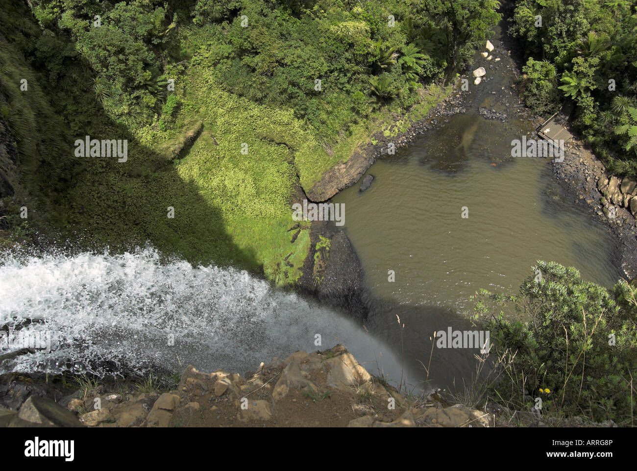 Bridal Veil Wasserfall schaut nach unten, Raglan, Neuseeland Stockfoto