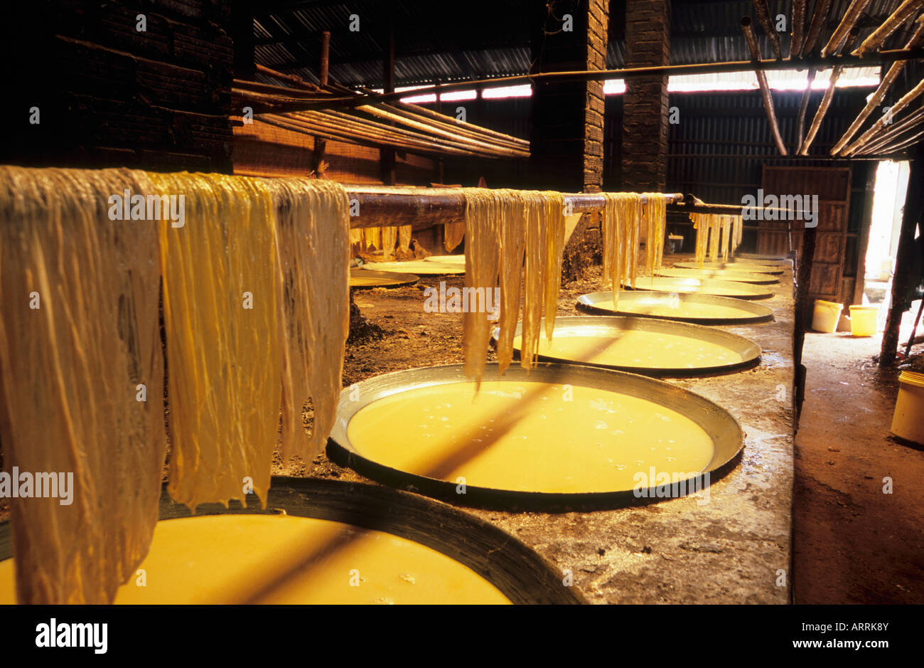 Tofu Blatt Produktion, Mekong-Delta, Vietnam, Asien Stockfoto