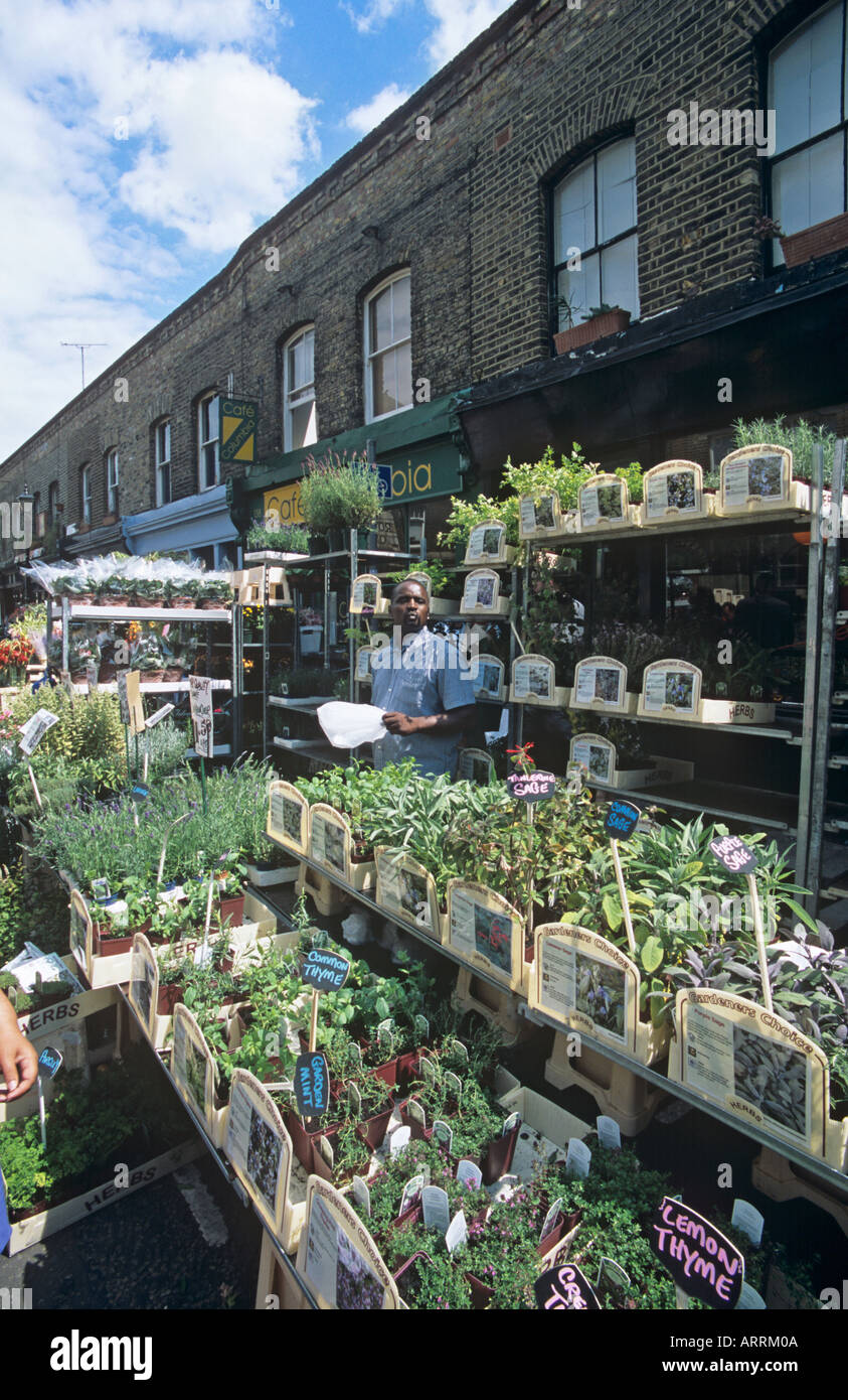 Columbia Road Flower Market LONDON Stockfoto