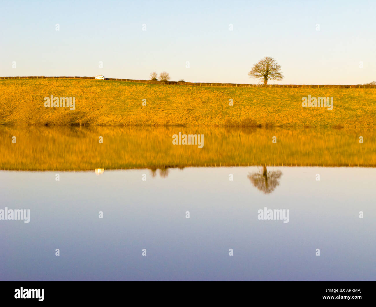 Blick über einen überfluteten Bereich Baum spiegelt sich im Wasser im Abendlicht Stockfoto