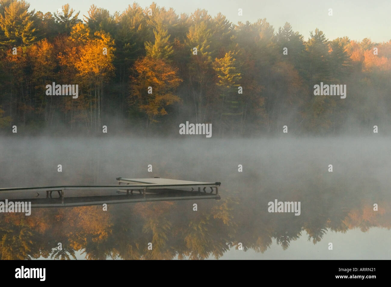 Nebel über den Teich auf ein Herbstmorgen Stockfoto