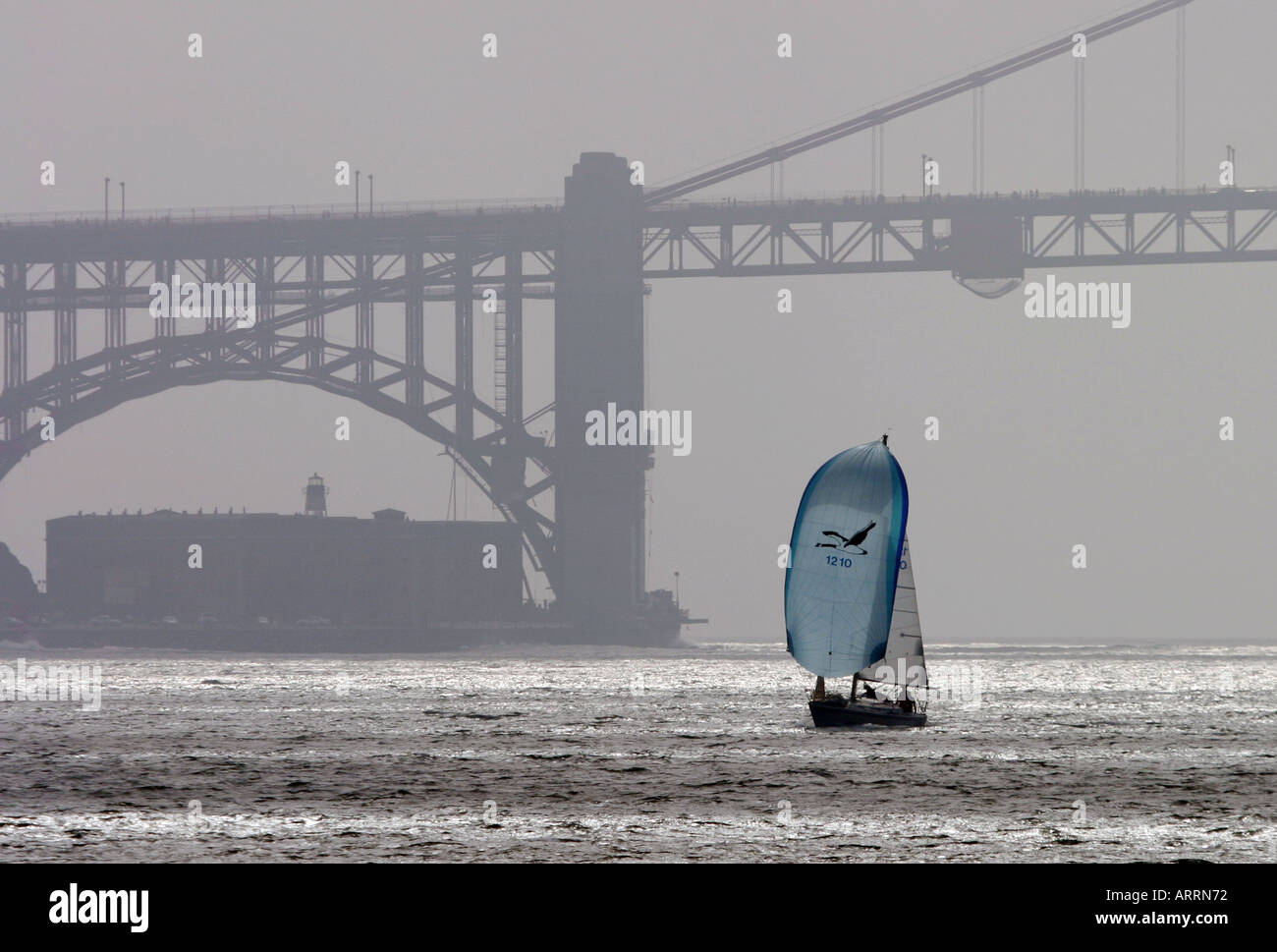 Eine Yacht Segeln auf Bucht von San Francisco mit der golden Gate Bridge im Hintergrund, Kalifornien USA Stockfoto
