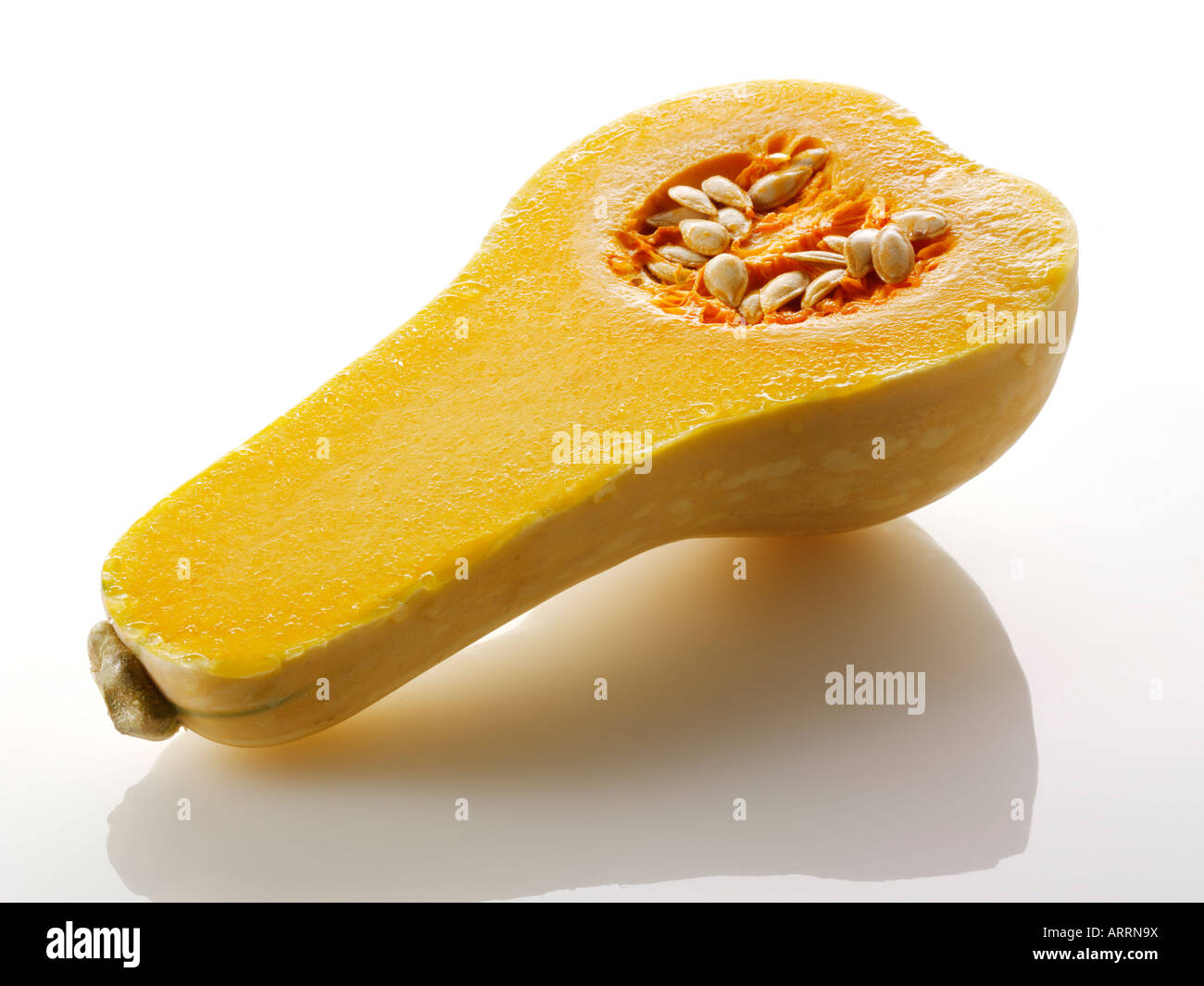 Butternut Kürbis geschnitten auf einem weißen Hintergrund Stockfoto