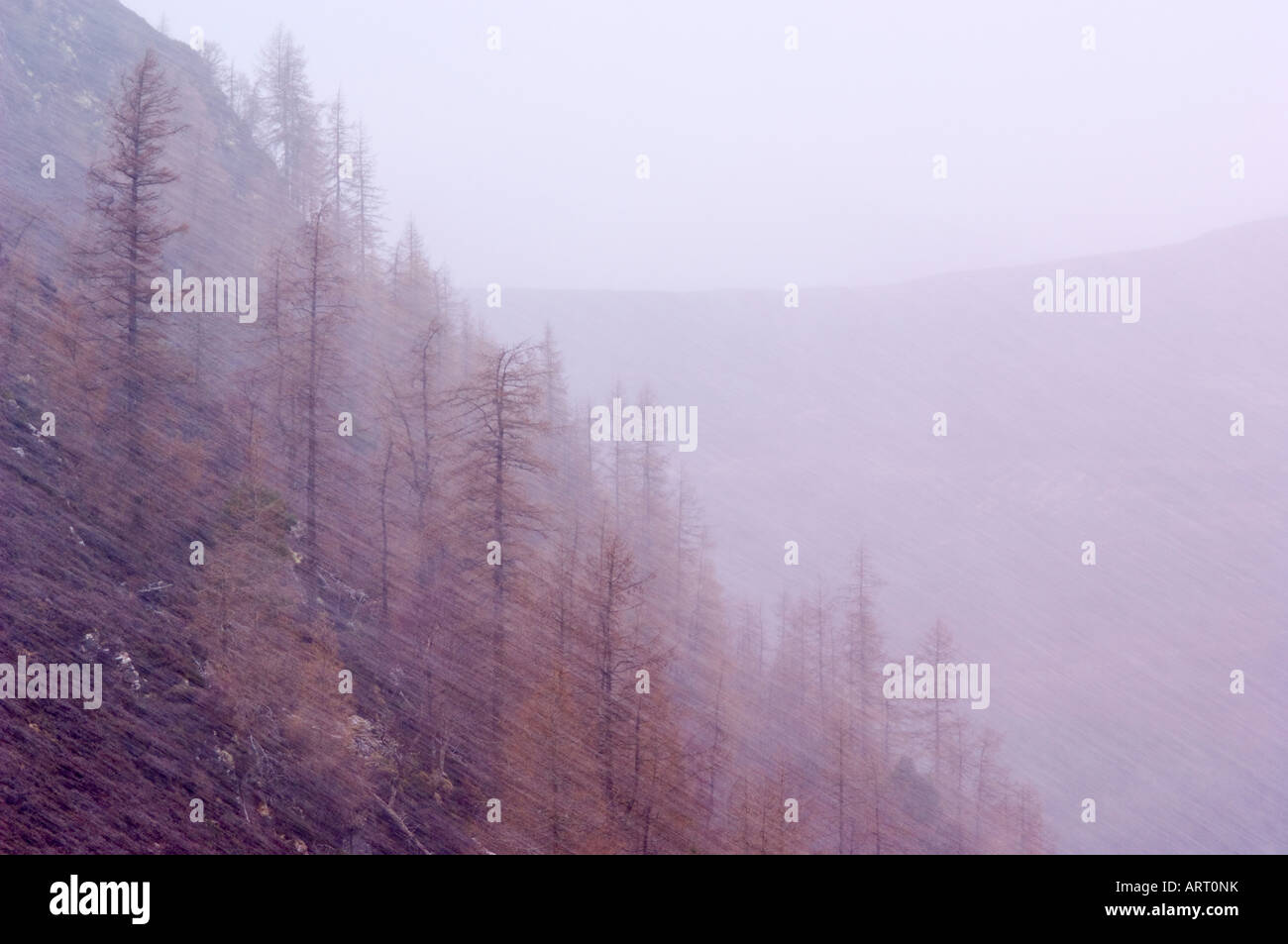 Niederschlag in den Cairngorms Stockfoto