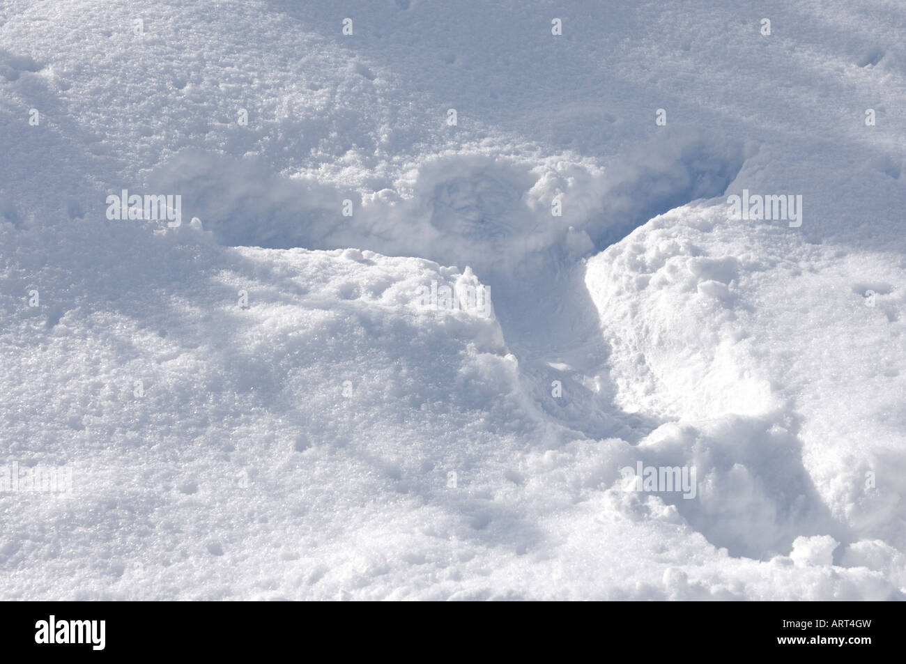 Menschliche Silhouette bedruckt auf Schnee Stockfoto