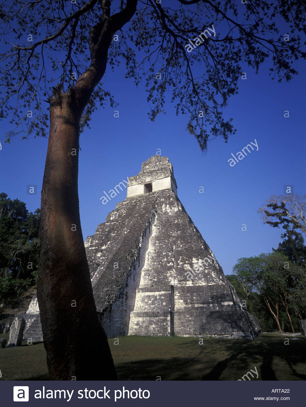 Tempel der Grand Jaguar Grand Plaza Tikal Guatemala Stockfoto