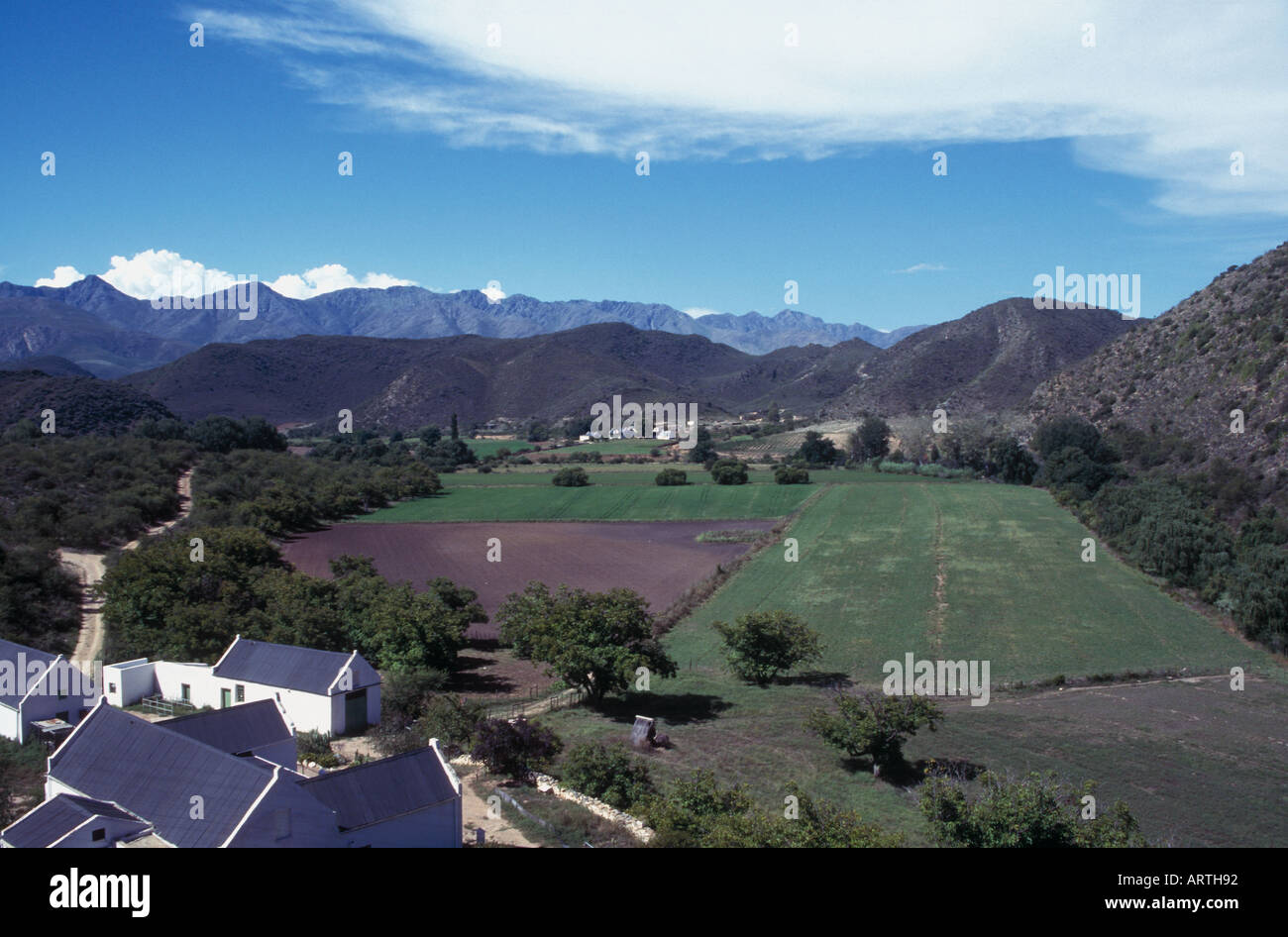 Südafrikanische Weinland Stockfoto