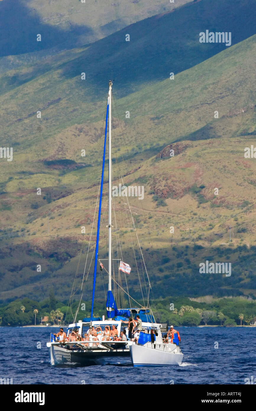 Segelboot von Menschen auf Urlaub Hoffnung für Wal begegnen in den Küstengewässern von Maui. Stockfoto