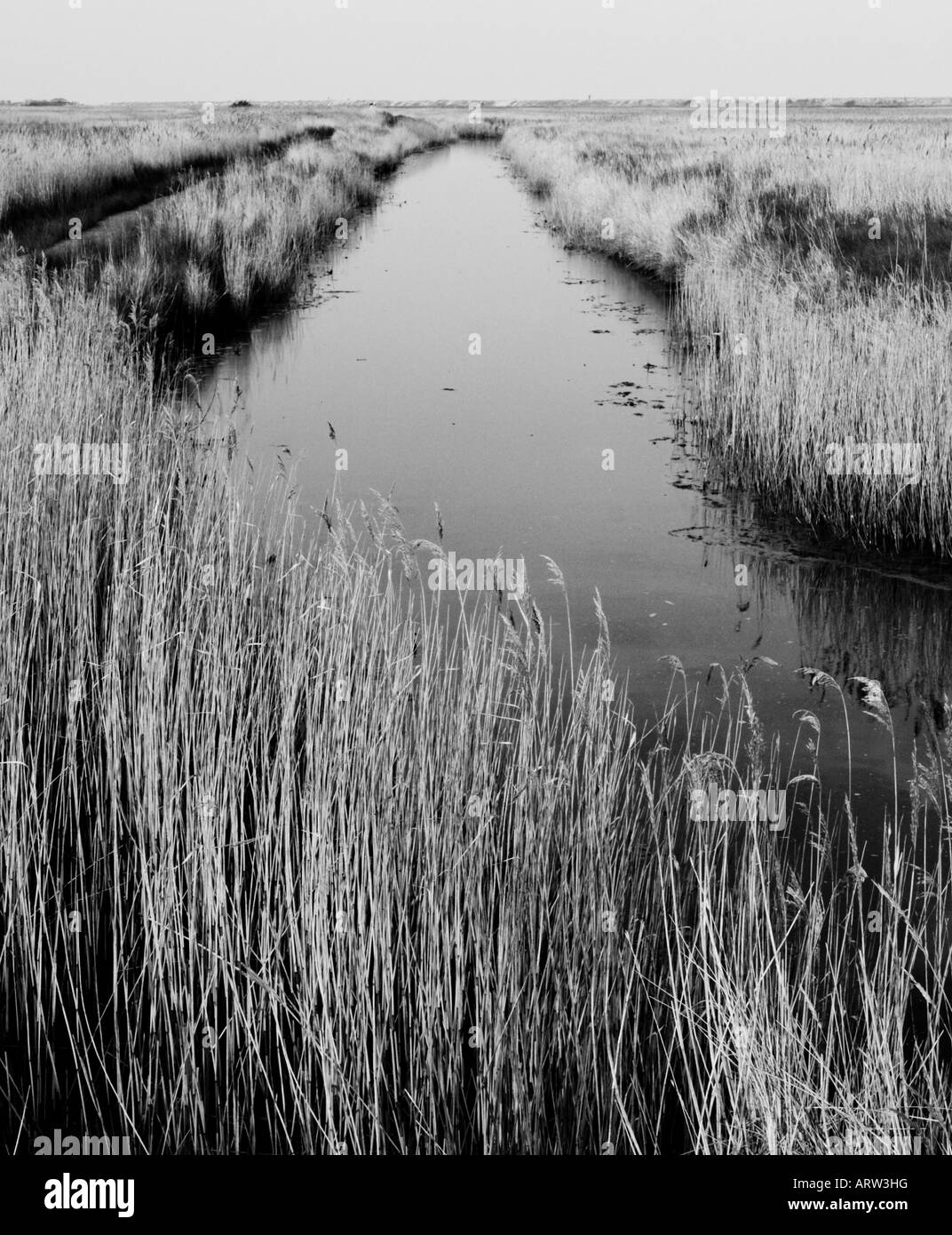 Fluss in Southwold, Suffolk, England, UK Stockfoto