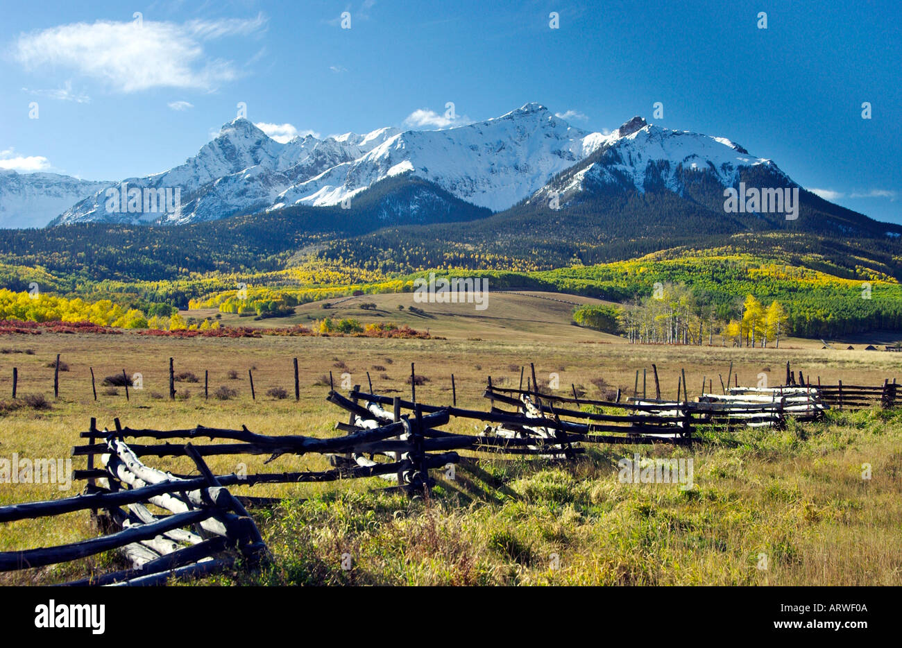 Rustikaler Zaun und Herbst Laub in Dallas zu teilen, in der Nähe von Ridgeway Colorado USA Stockfoto