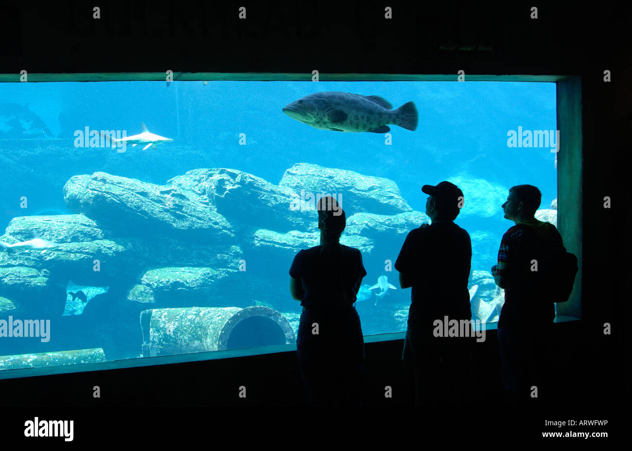 Besucher auf der Schiffbrüchige unter dem Motto Sea World Aquarium uShaka Marine World Durban Südafrika Stockfoto