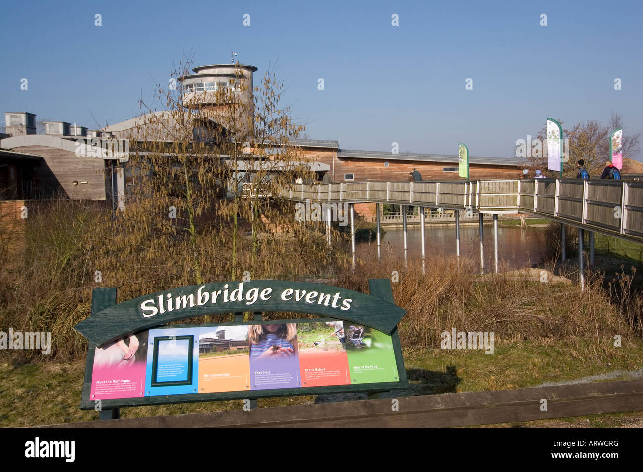 Slimbridge Wildfowl und Feuchtgebiet Vertrauen Gloucestershire, England Stockfoto