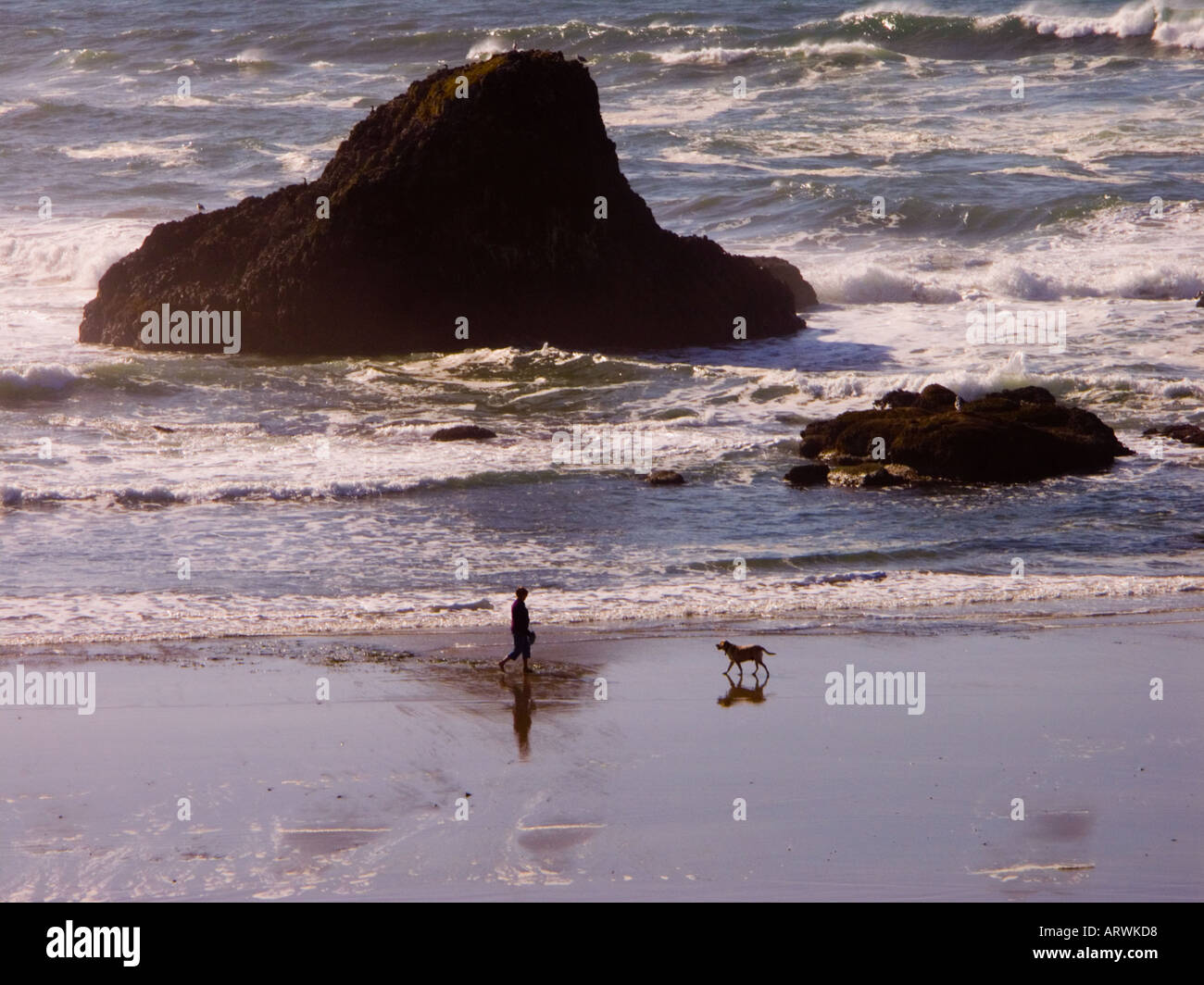 Beachwalker und Hund teilen das Drama der Oregon Küste im Seal Rock State Park Stockfoto