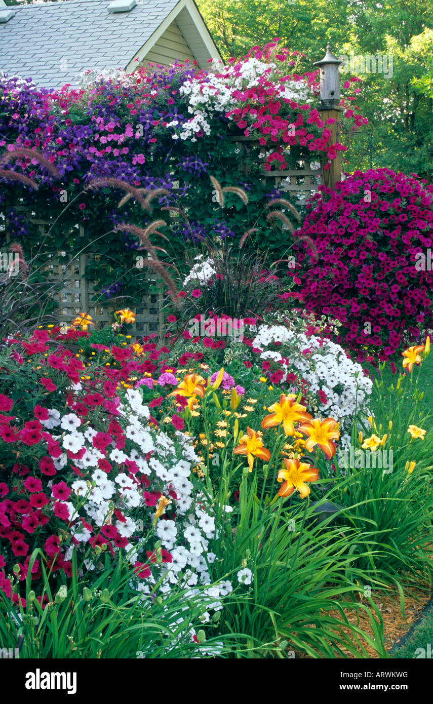 TÖPFE VON TIDAL WAVE PETUNIEN, KOMBINIERT MIT BRUNNEN GRASS, TAGLILIEN UND CLEMATIS SPALIER. MINNESOTA-HINTERHOF-GARTEN. SOMMER. Stockfoto