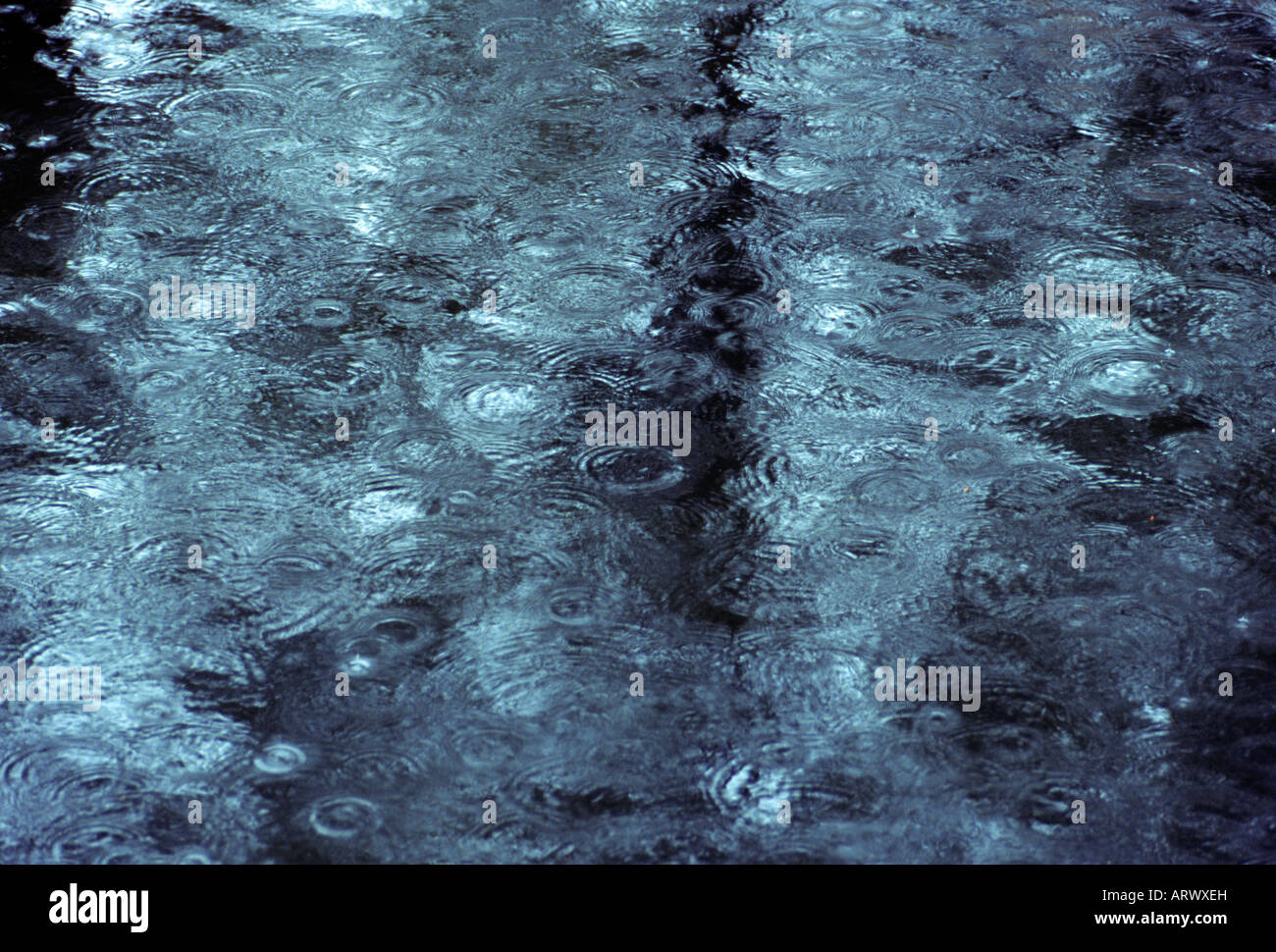 Pfütze und Regen Wassertropfen Stockfoto