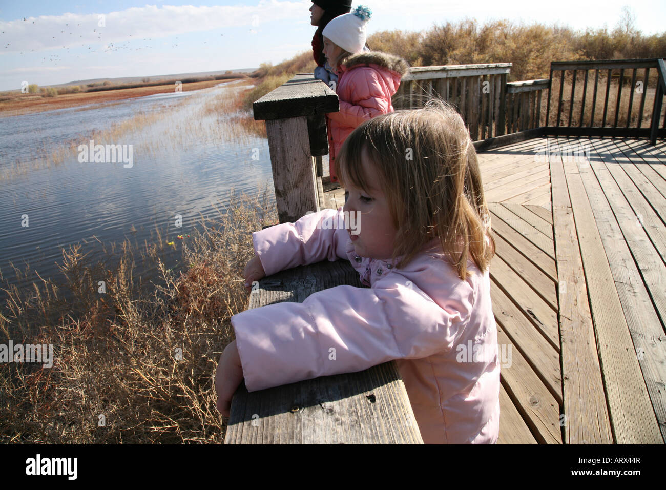Kinder beobachten Vögel und Wildtiere im Naturpark. Stockfoto