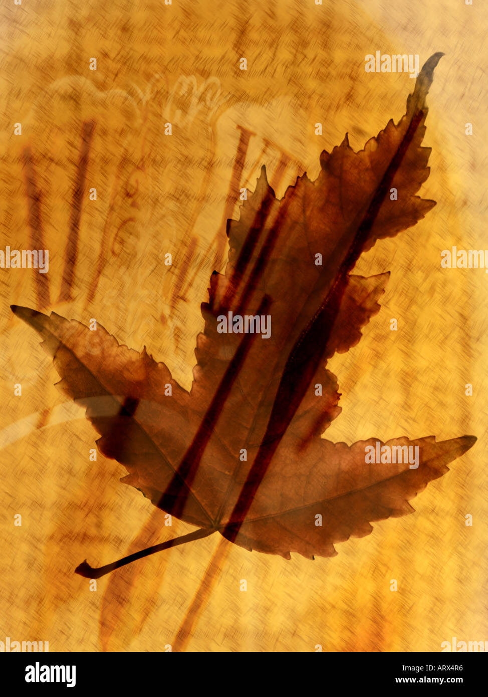 Digitalen zusammengesetztes Bild der Herbst Blatt und Uhr. Herbst, saisonale Veränderungen, Durchgang von Time-Konzepte. Stockfoto