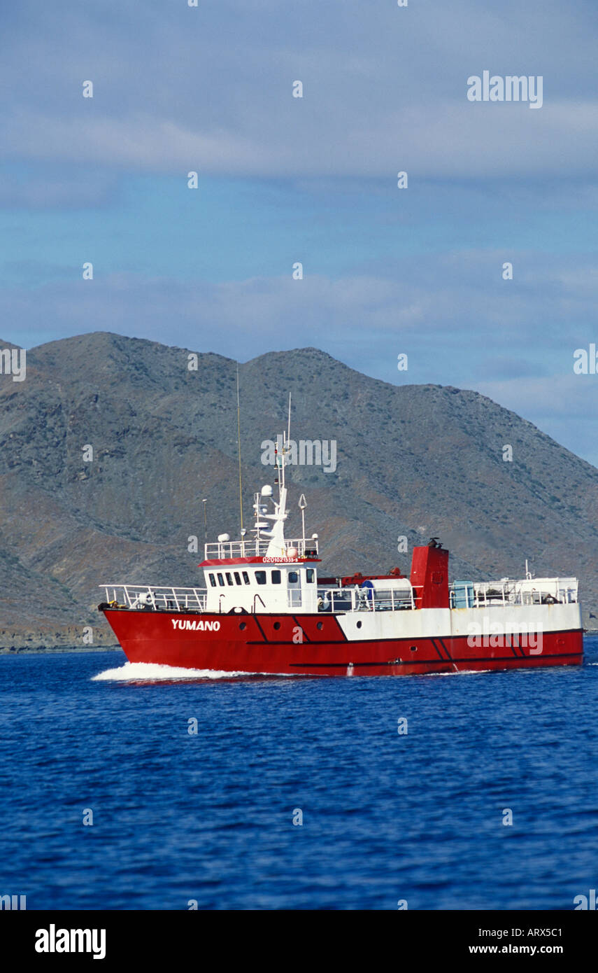Sea of Cortez, Magdalena Bay Fishing Schiff auf das Meer, Baja Kalifornien ausgehen Stockfoto