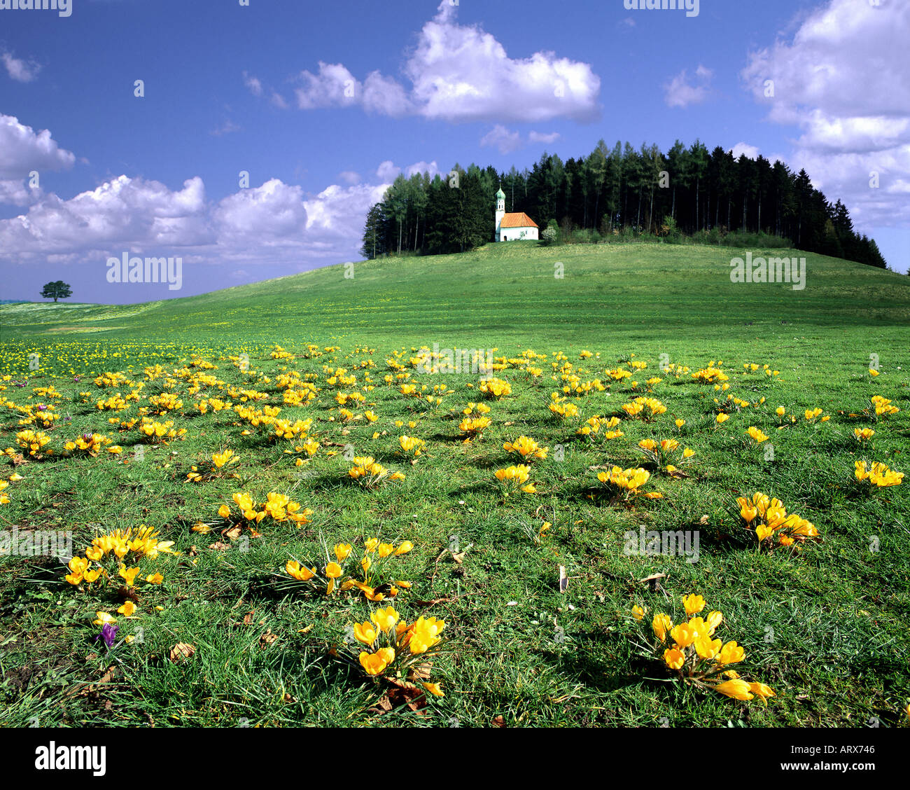 DE - Bayern: St. Georg Kapelle in Ascholding Stockfoto