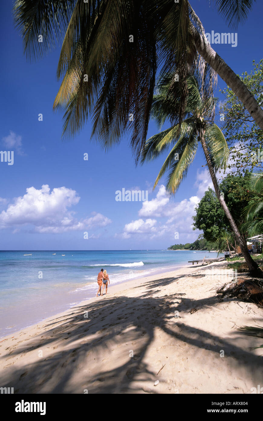 Arm in Arm Paar Spaziergang entlang des Wassers Rand der tropischen Sandstrand Karibik Strandlandschaft mit Palmen & Schatten an der Westküste von Barbados Stockfoto