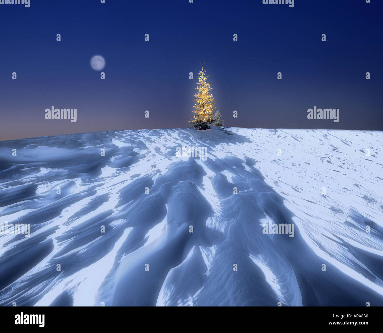 DE - Bayern: Beleuchtete Weihnachtsbaum im Allgäu Stockfoto