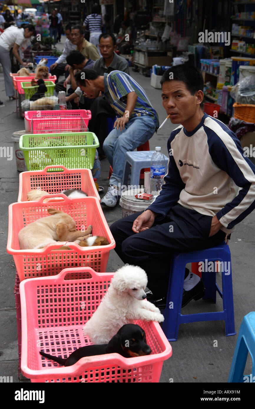 Haustier Straßenmarkt friedlichen Markt Qingping Lu Kanton Guangzhou China Welpen zu verkaufen Stockfoto