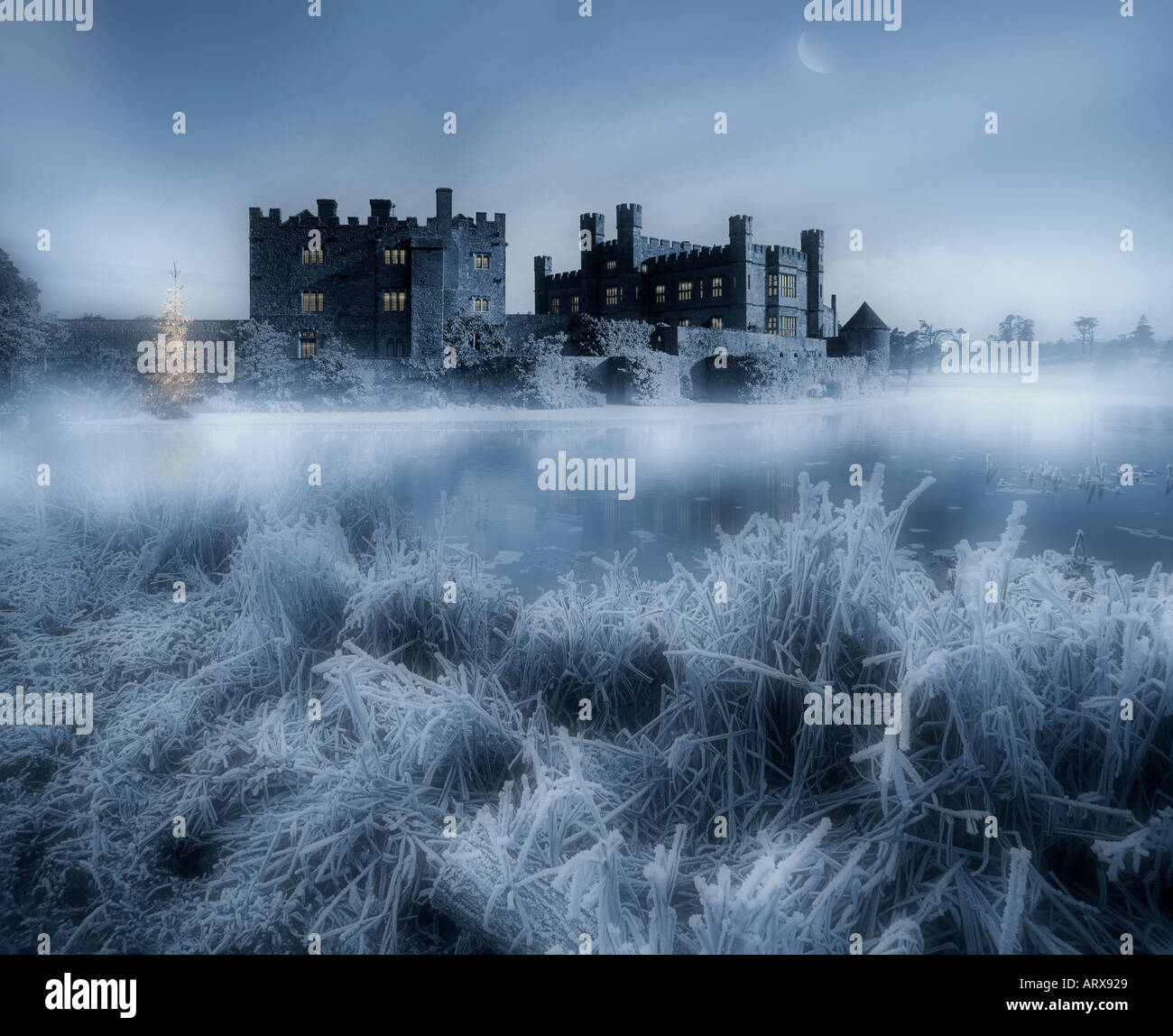 GB - KENT: Leeds Castle zu Weihnachten Stockfoto
