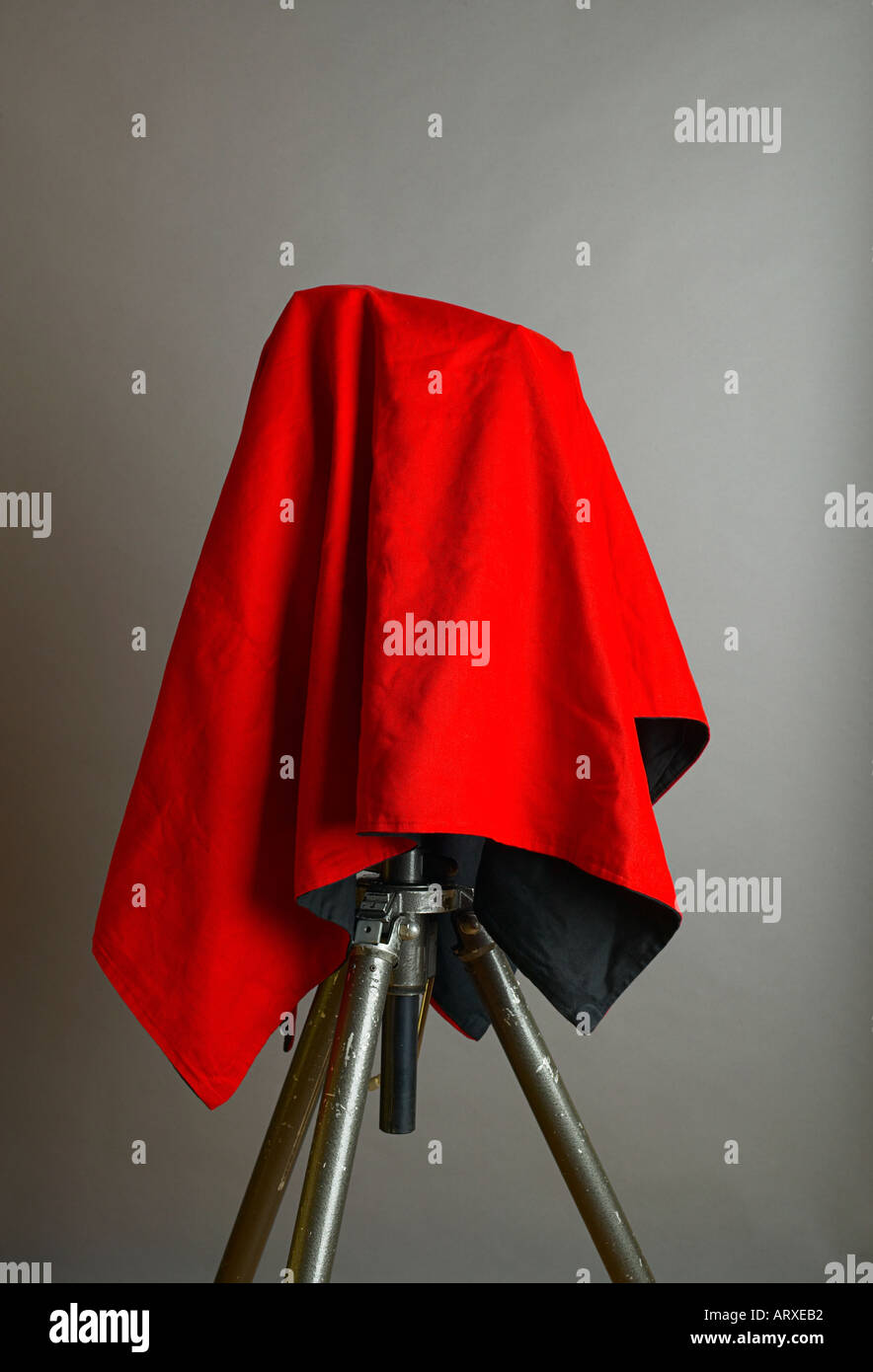 Crimson rot Fotografen, die Fokussierung Stoffabdeckung eine Kamera auf einem Stativ Stockfoto