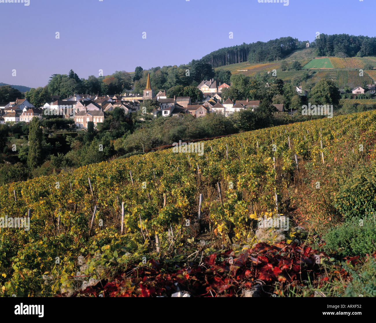 Pernand Vergelesses Nuits St Georges Bourgogne-Franche-Comte Frankreich Stockfoto